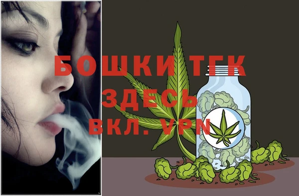 молекула духа Алексин